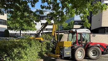🌿 Strak gesnoeid, professioneel uitgevoerd! 🌿