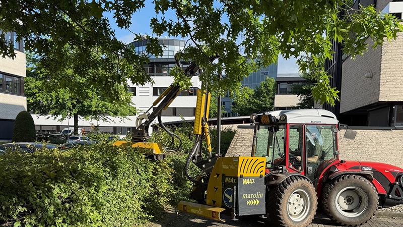 🌿 Strak gesnoeid, professioneel uitgevoerd! 🌿
